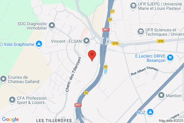 Clinique Veterinaire Oudet Jean Et Thomas Vincent