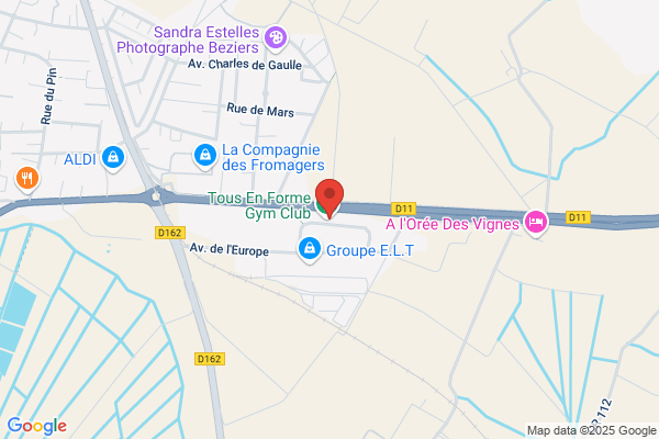 Gentlemen Du Demenagement Demenageurs Occitans Adherent