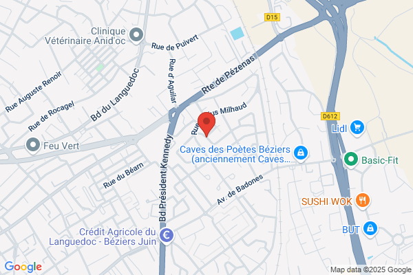 Cyril DUL Agent immobilier