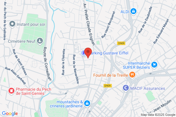 Als Agence Lyonnaise De Securite