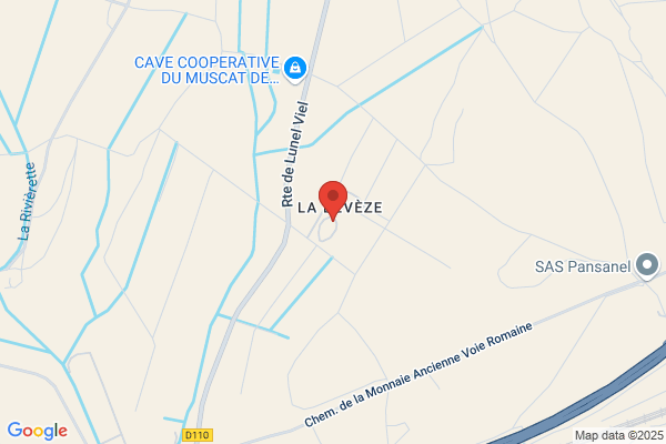 Chateau De La Deveze