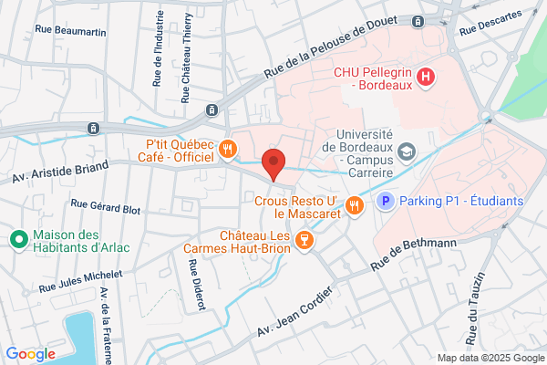 Camins Services