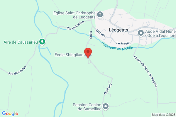 Ecole Shingikan