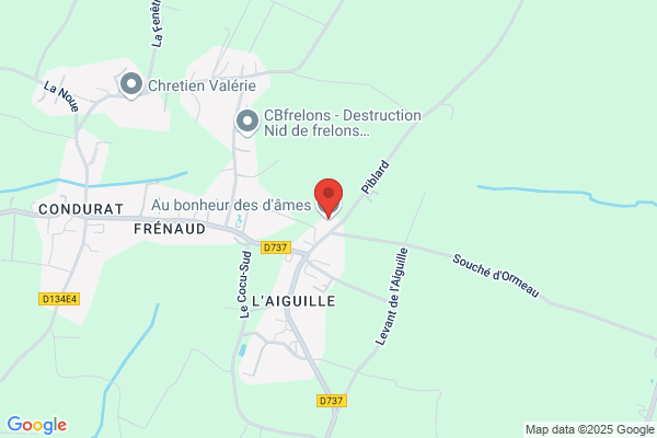 Au Bonheur Des Dames