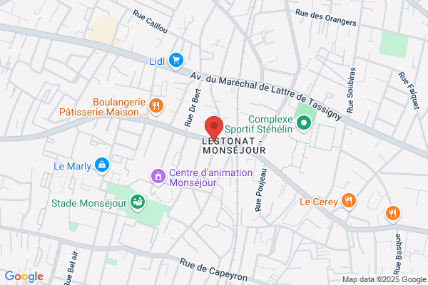 Arramon Jean Yves Rhumatologue