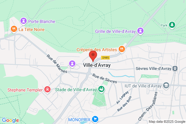 Nicolas Ville d'Avray