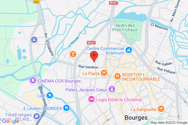 Association Amis Musees Ville De Bourges