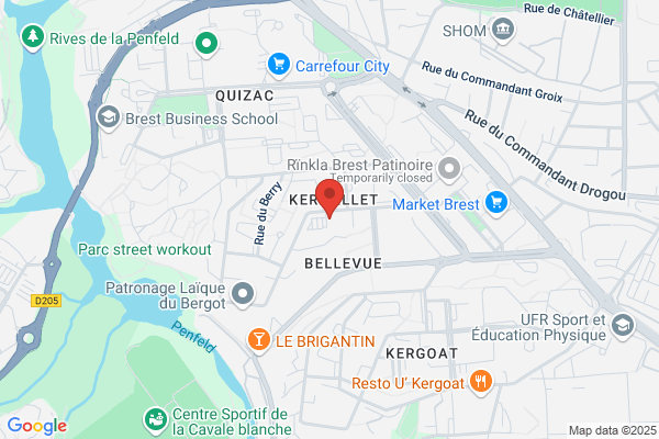 Commission Locale D Insertion Cli