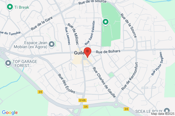 Audioprothésiste Guilers Audition Santé