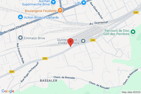 Conseil National Des Professions De L Automobile