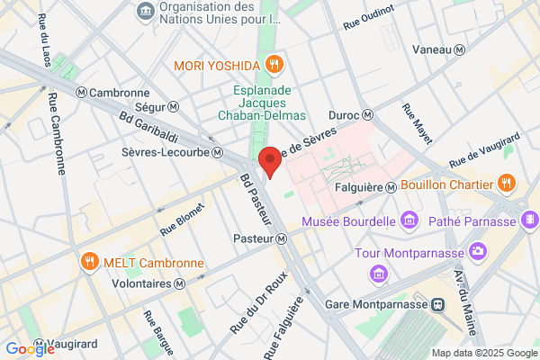 290 Rue Lecourbe Sarl