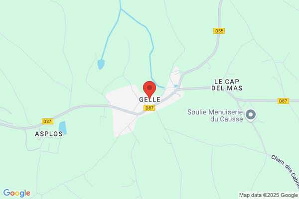 Gellee Denis