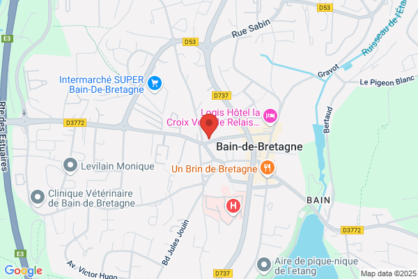 Domino's Pizza Bain-de-Bretagne