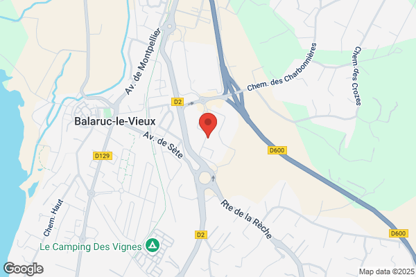 Cheminees Rene Brisach Barascud Concess