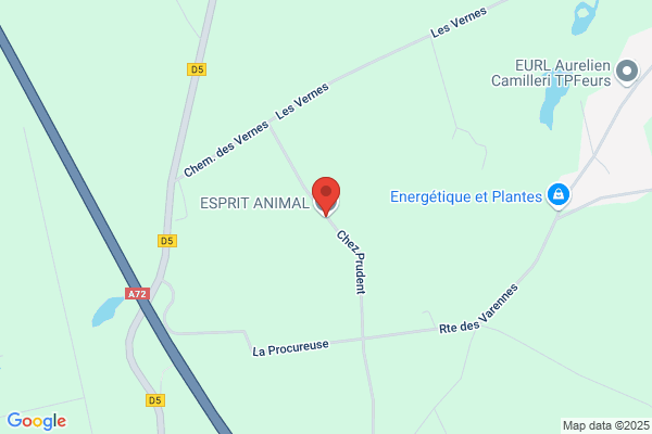 Esprit Animal