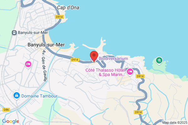 Aquarium Du Laboratoire Arago