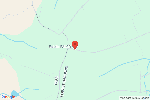 Estelle FALCO