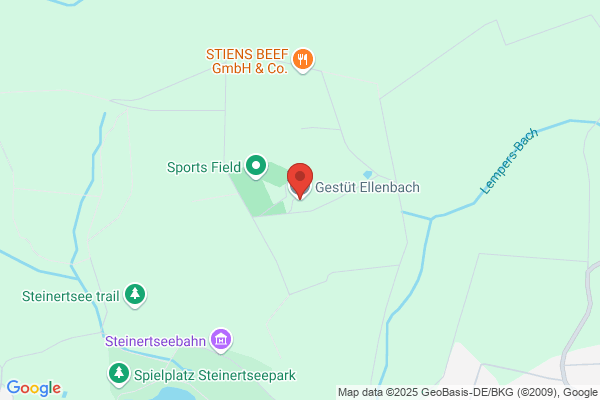 Ellenbach Henri