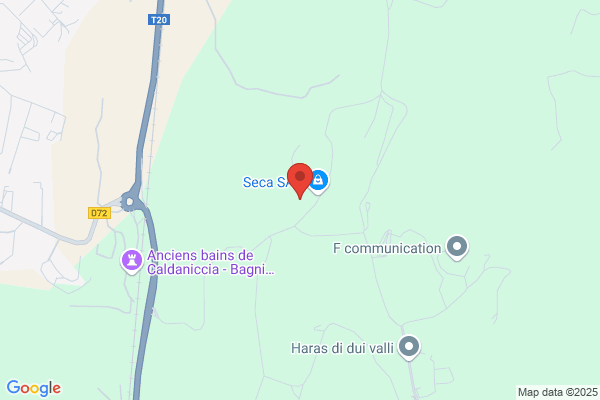 SMTE