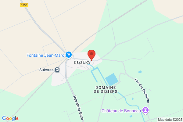 Le bonheur des 4 pattes