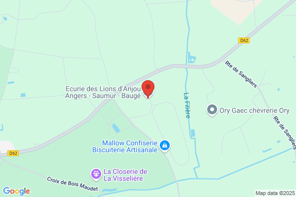 Ecurie des lions d'anjou