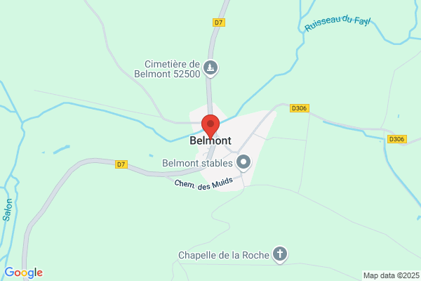 Belmontet Serge