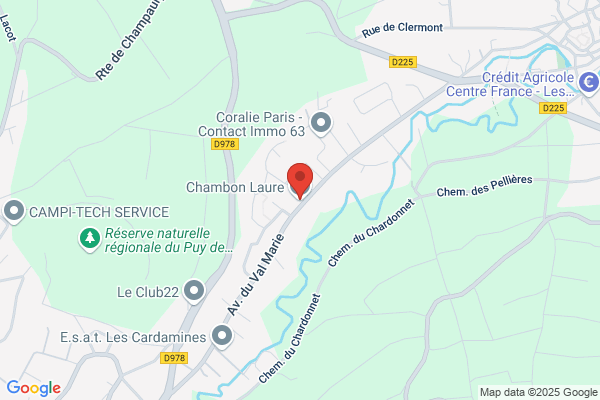 Chambon Patrice