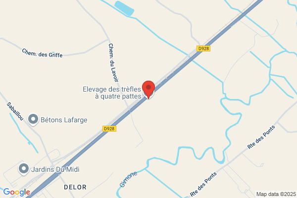 Elevage des trèfles à quatre pattes