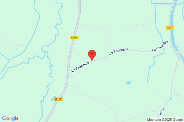 PayeLine