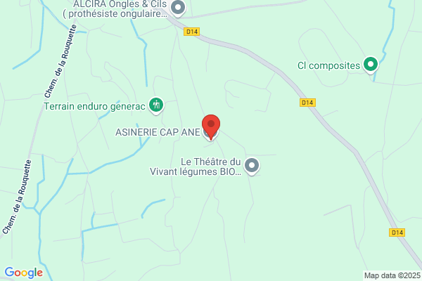ASINERIE CAP ANE
