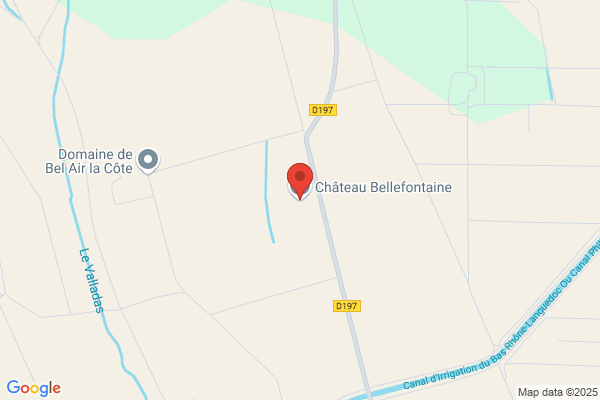 Chasteau De Balyon Pierre