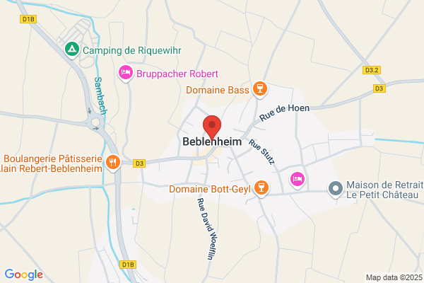 Buhl Europe