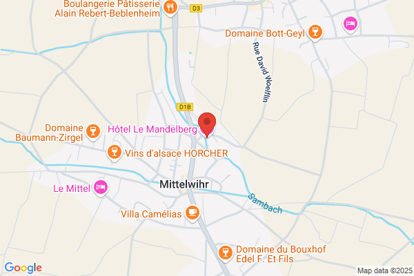 Hotel Restaurant Le Sarment D Or