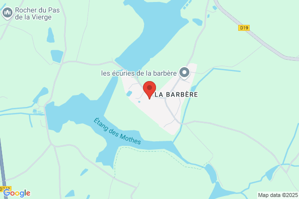 SÈVRES BOIS