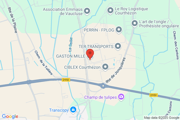 Gaston Mille (Sa)