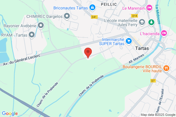 Les Amis d'Ambre