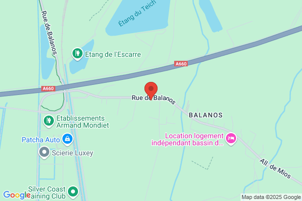 Avenir Assurances