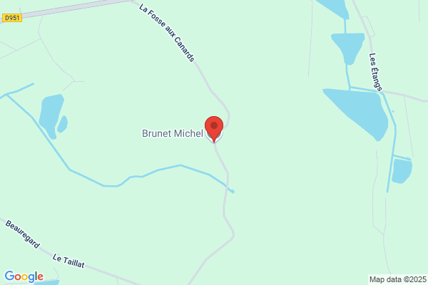 Brunet Michel