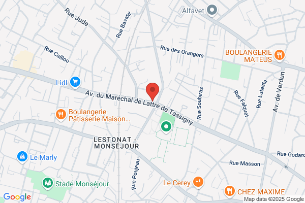 Auto Ecole Pins Francs