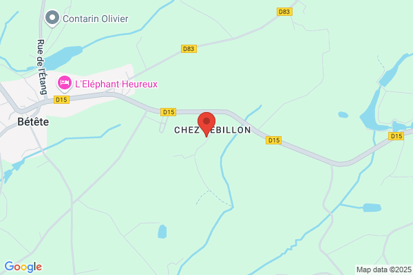 Gehans Patrice
