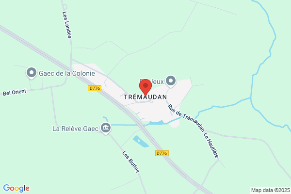 De Tremaudan Henry