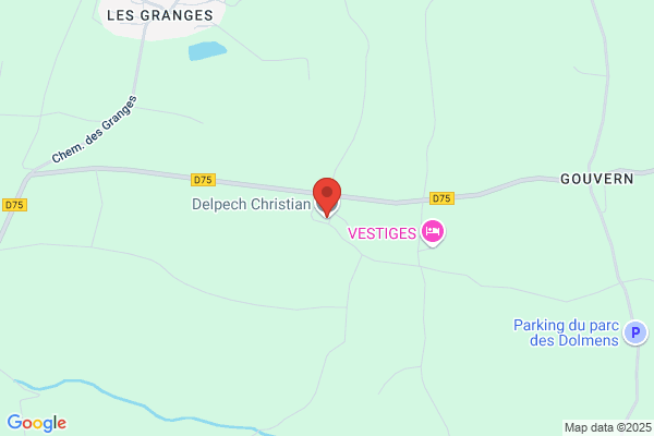 Delpech Christian