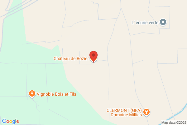 Chateau De Rozier