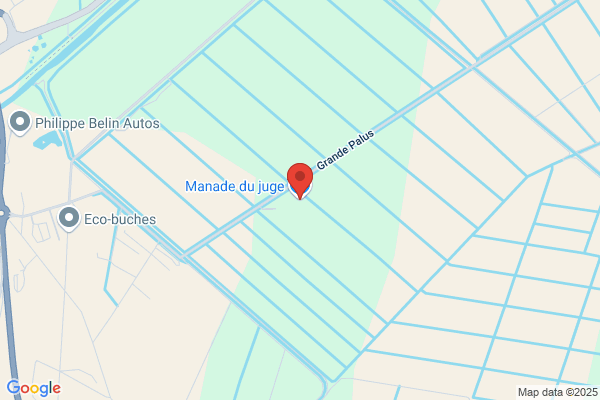 Jacquot Yves Manadier Elevage De Taureaux
