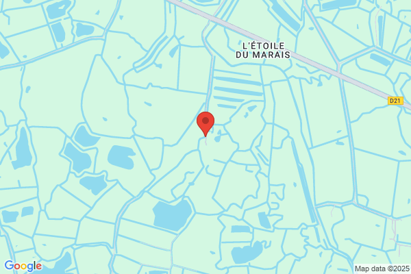 Ardillon Daniel
