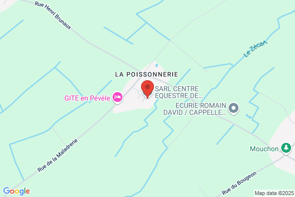 Association Pour L Equitation En Dilettante Aped