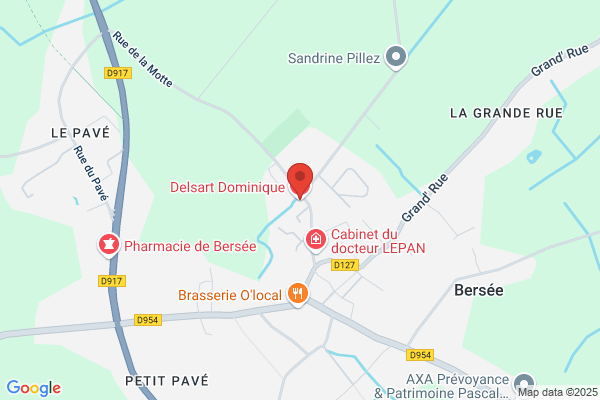 Delsart Dominique