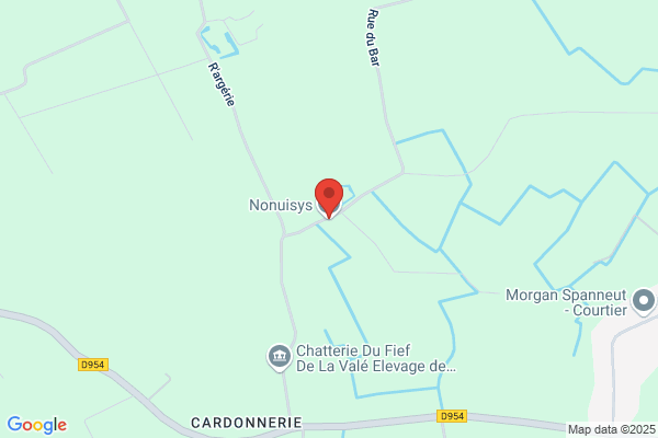 Nonuisys