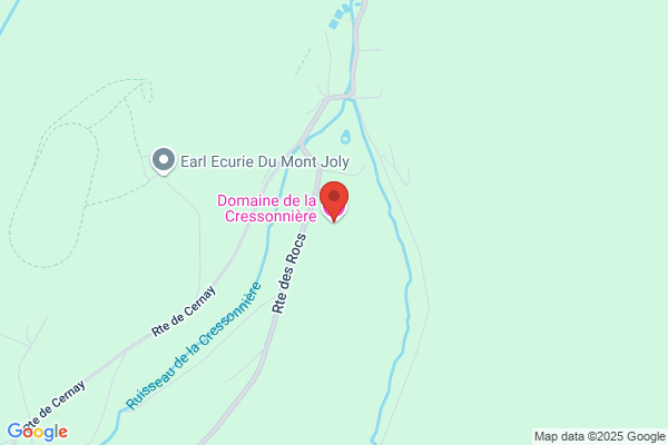 Domaine De La Cressonniere