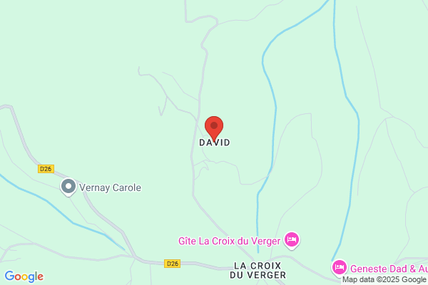 Darfeuille David